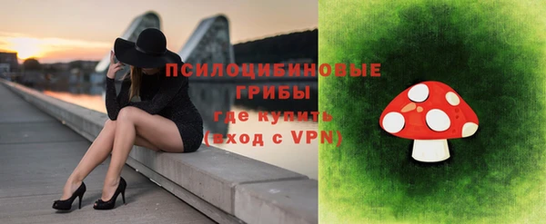 мяу мяу мука Алексин