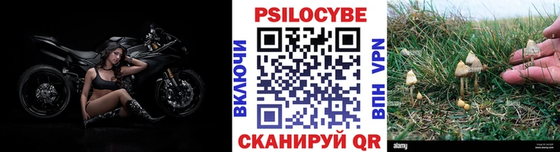 Псилоцибиновые грибы Cubensis  магазин продажи наркотиков  Павлово 